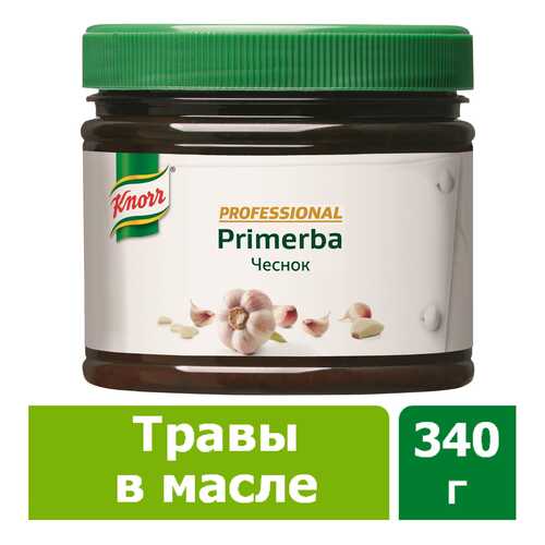 Приправа в растительном масле Knorr Primerba чеснок 340 г в Магнит