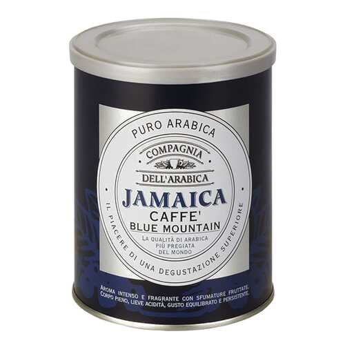 Кофе Compagnia Dell'Arabica Jamaica Blue Mountain молотый 250 г в Магнит