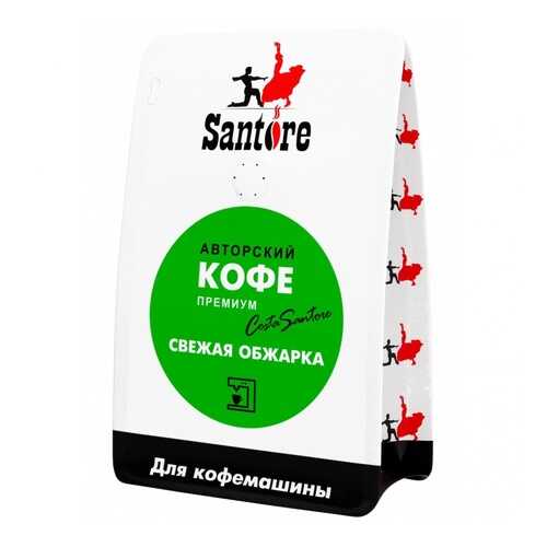 Кофе Santore Green Line, зерновой, 250 гр в Магнит