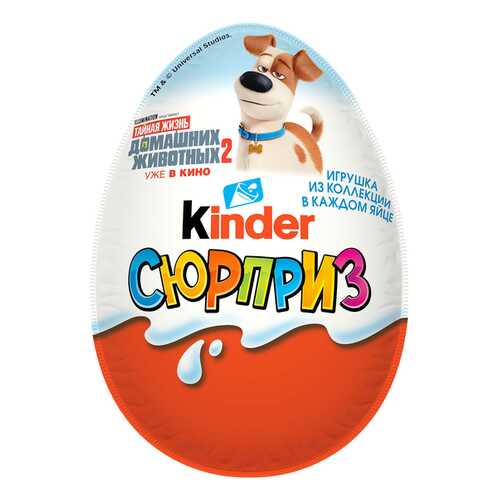 Яйцо Kinder Сюрприз из молочного шоколада с игрушкой Тайная жизнь домашних животных-2 20 г в Магнит